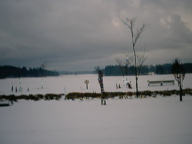 �߂��̌���